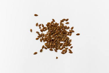 Similar image 22066755