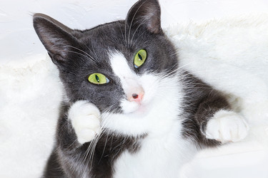 Similar image 22067207