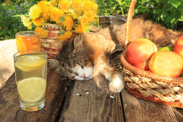 Similar image 22067208