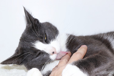 Similar image 22067209