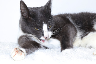 Similar image 22067210