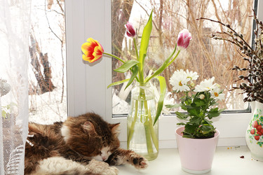 Similar image 22067212