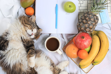 Similar image 22067213