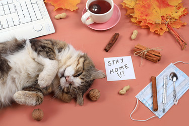 Similar image 22067214