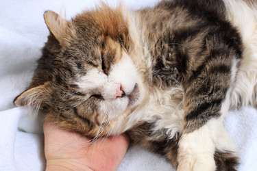 Similar image 22067215