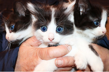 Similar image 22067216