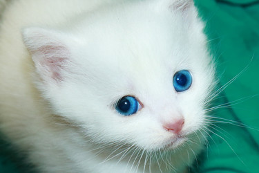 Similar image 22067217