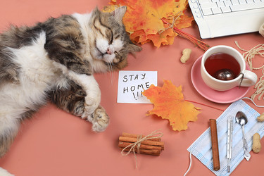 Similar image 22067218