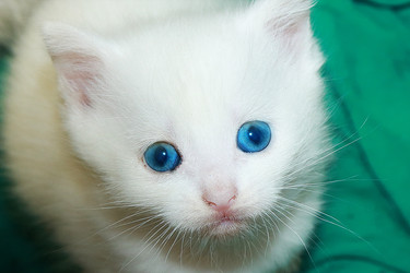 Similar image 22067221