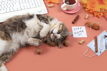 Similar image 22067225