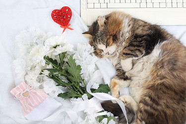 Similar image 22067227