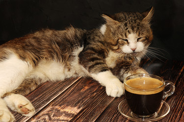 Similar image 22067229