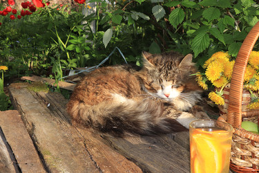 Similar image 22067233