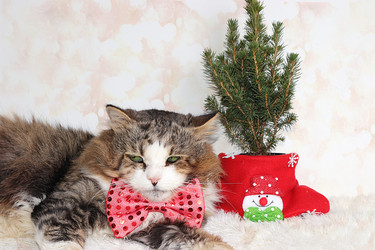 Similar image 22067234