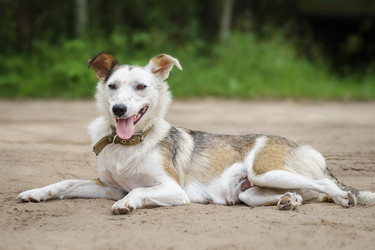 Similar image 22067953