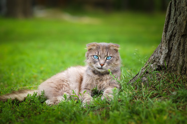 Similar image 22068183