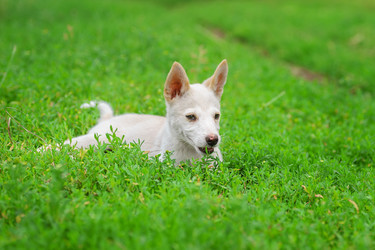 Similar image 22068185