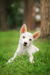 Similar image 22068187