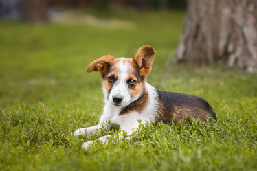 Similar image 22068191