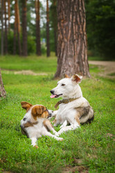 Similar image 22068192