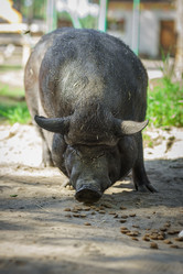 Similar image 22068195