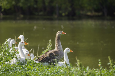 Similar image 22068198