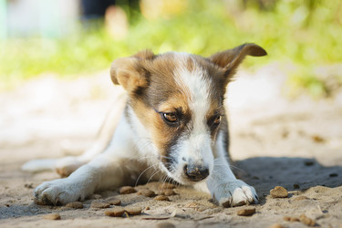 Similar image 22068199