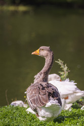 Similar image 22068200