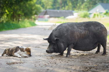 Similar image 22068203