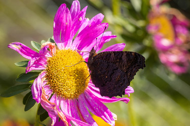 Similar image 22068206