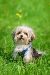 Similar image 22068207