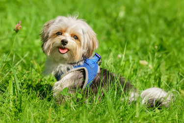 Similar image 22068209