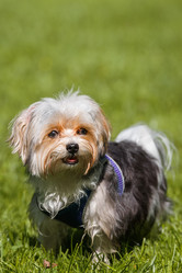 Similar image 22068211