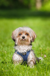 Similar image 22068213