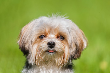 Similar image 22068215