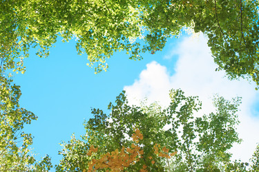 Similar image 22068216