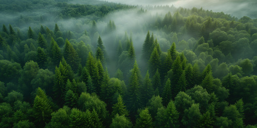 Similar image 22068868