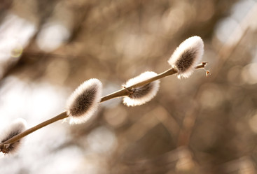 Similar image 22069240