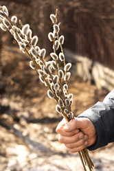 Similar image 22069241