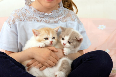 Similar image 22069242