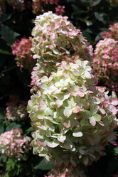 Similar image 22066457