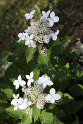 Similar image 22066460