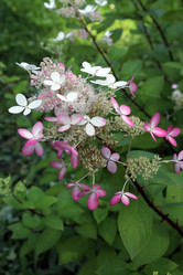 Similar image 22066464