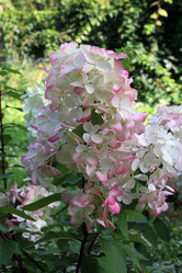 Similar image 22066465