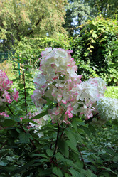 Similar image 22066466