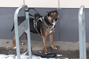 Similar image 22066763