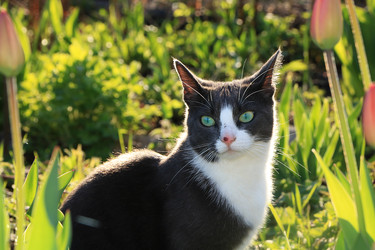 Similar image 22067236