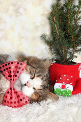 Similar image 22067237