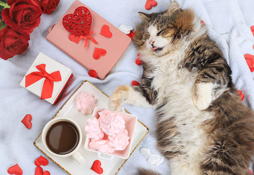 Similar image 22067241