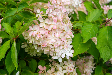 Similar image 22077045